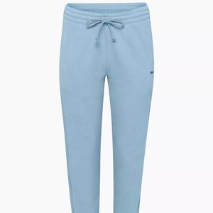 TNA Cozy boyfriend sweatpants aritzia size M